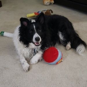 Meet your Posher, Neil